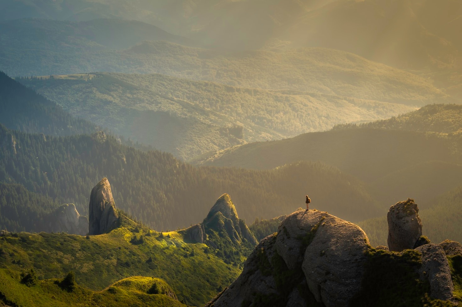 The Science Behind Daily Mental Wellness