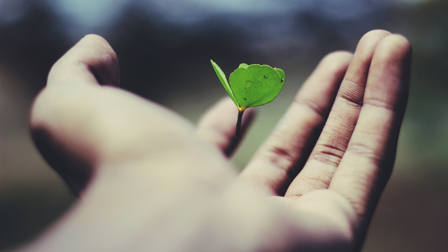 Why Slowing Down Improves Mental Health