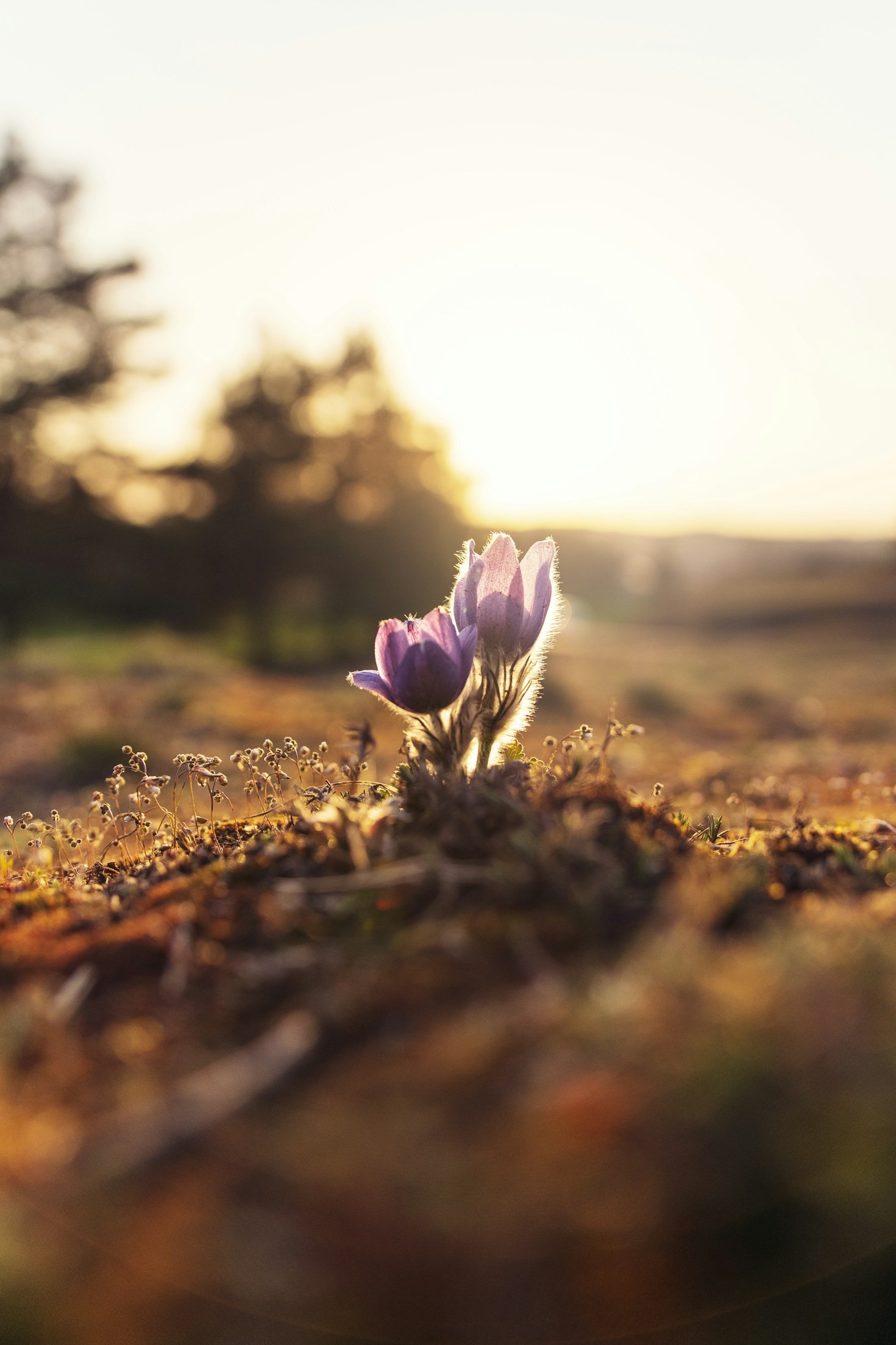 Essential Habits For A Balanced Lifestyle